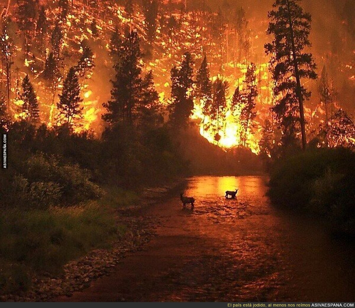 Foto de uno de los incendios cercanos a Vigo