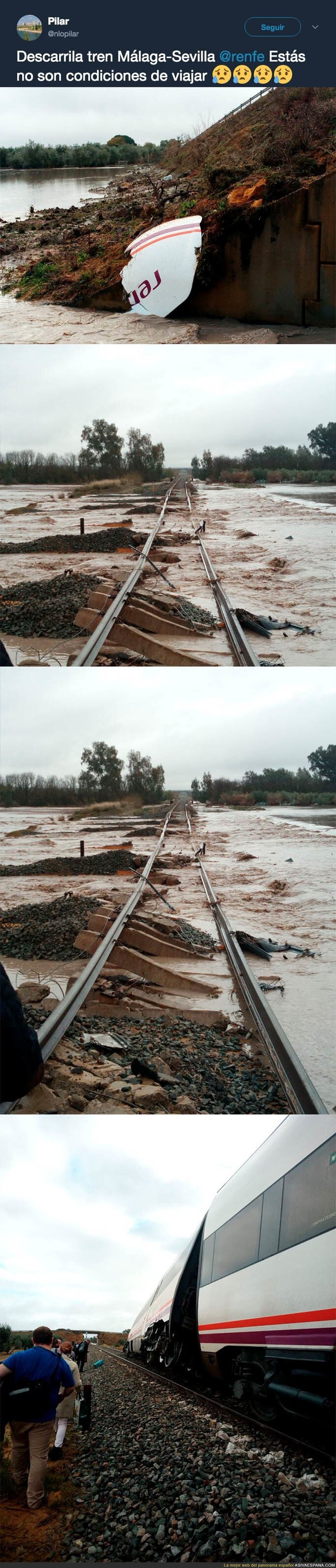 Publican fotos de estado de las vías por donde ha descarrilado el tren del trayecto Málaga-Sevilla