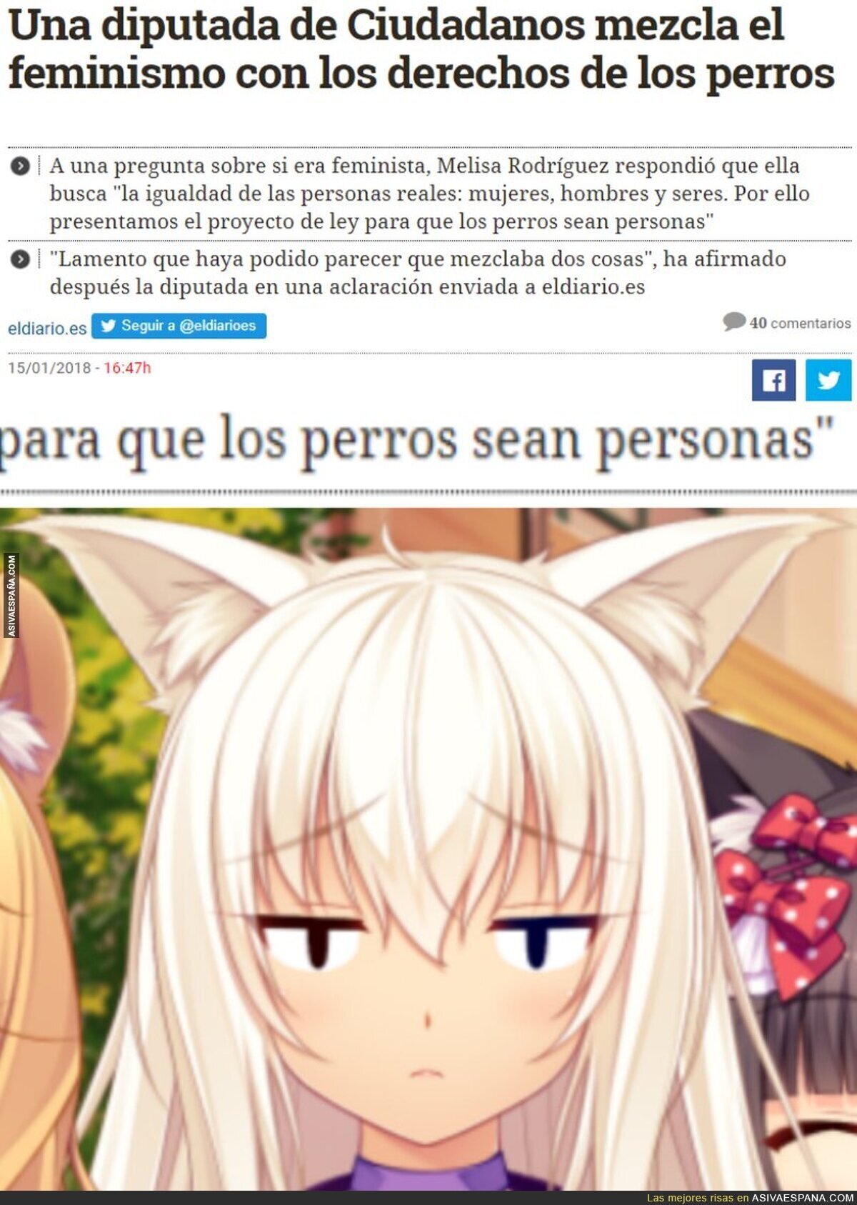 ¿Es que nadie va a pensar en los gatitos?