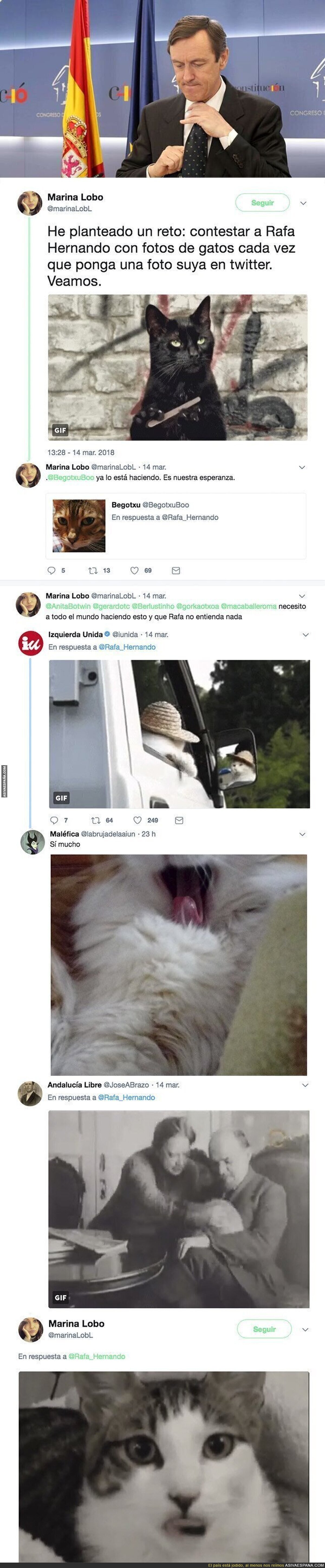 Twitter está troleando épicamente a Rafael Hernando respondiéndole con fotos de gatos