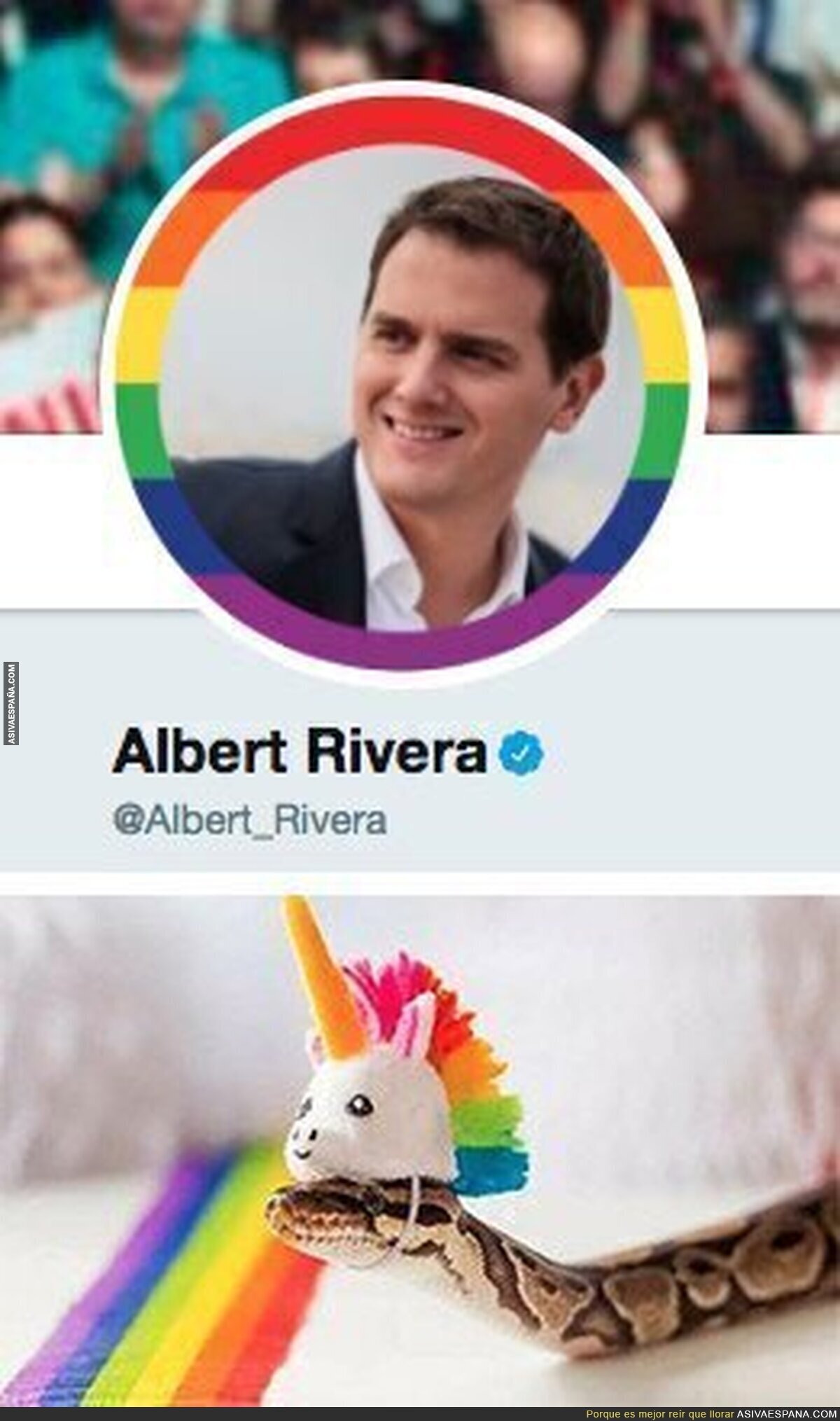 Así se ve Albert Rivera con la bandera LGTBI