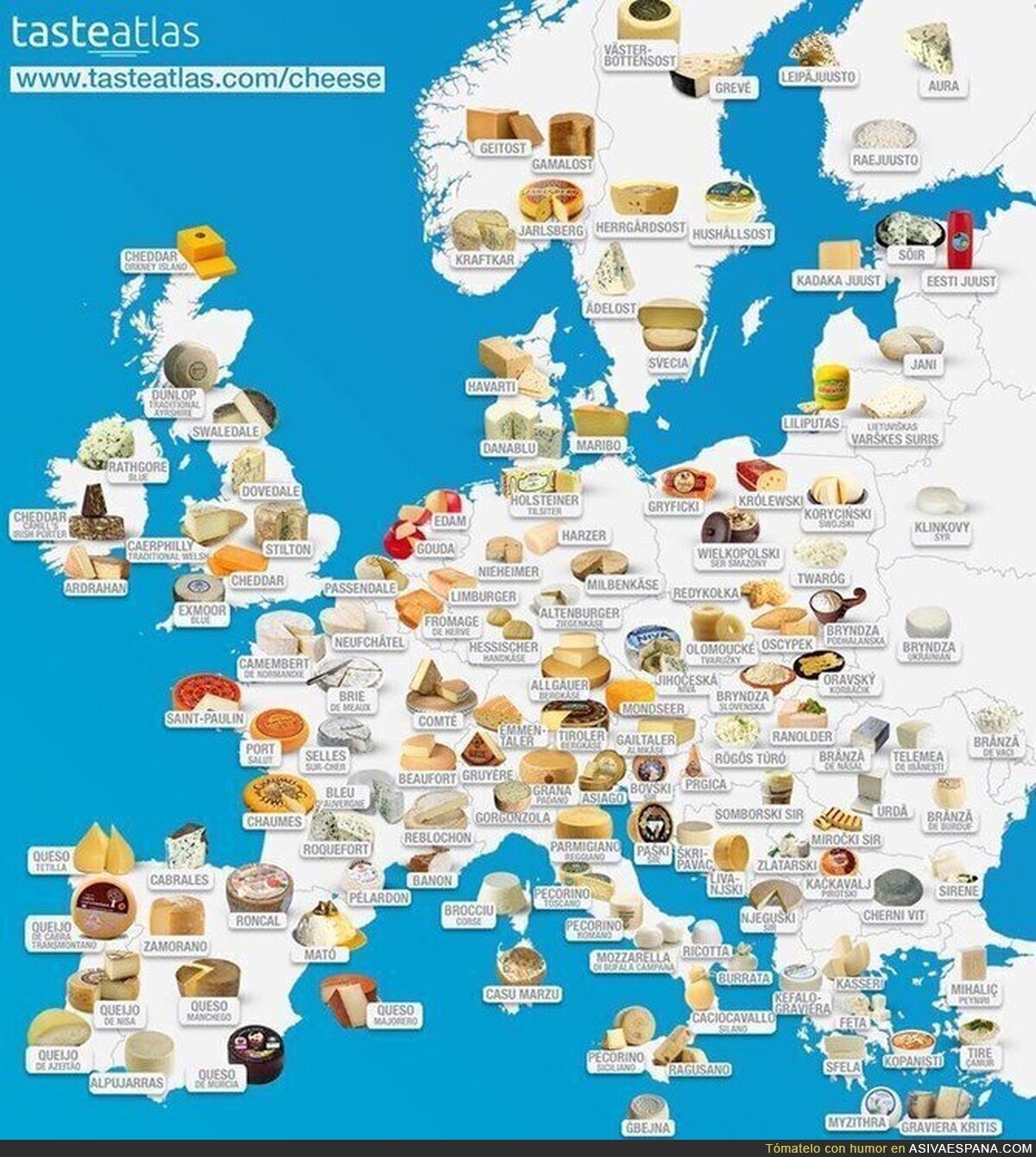 Los mejores quesos europeos en un solo lugar! Estos son los representantes de España