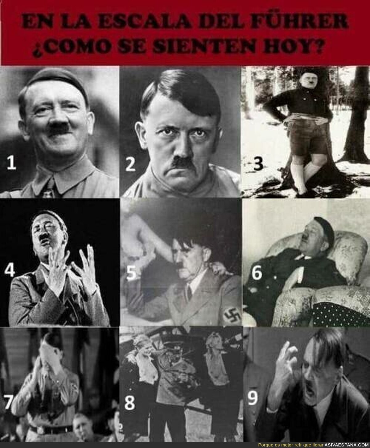 Como te sientes hoy en la escala del führer