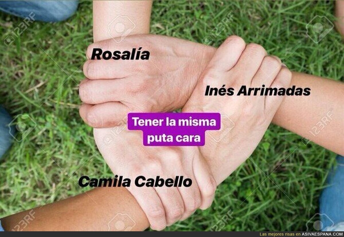 La unión hace la fuerza