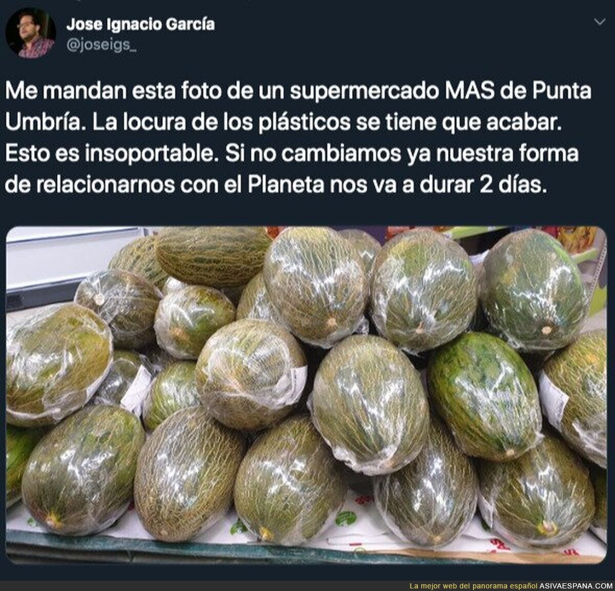 La estupidez humana no tiene límites