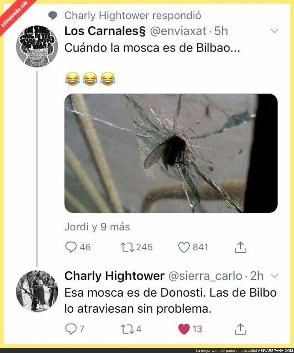 Diferencias entre las moscas de Bilbao y las de Donosti
