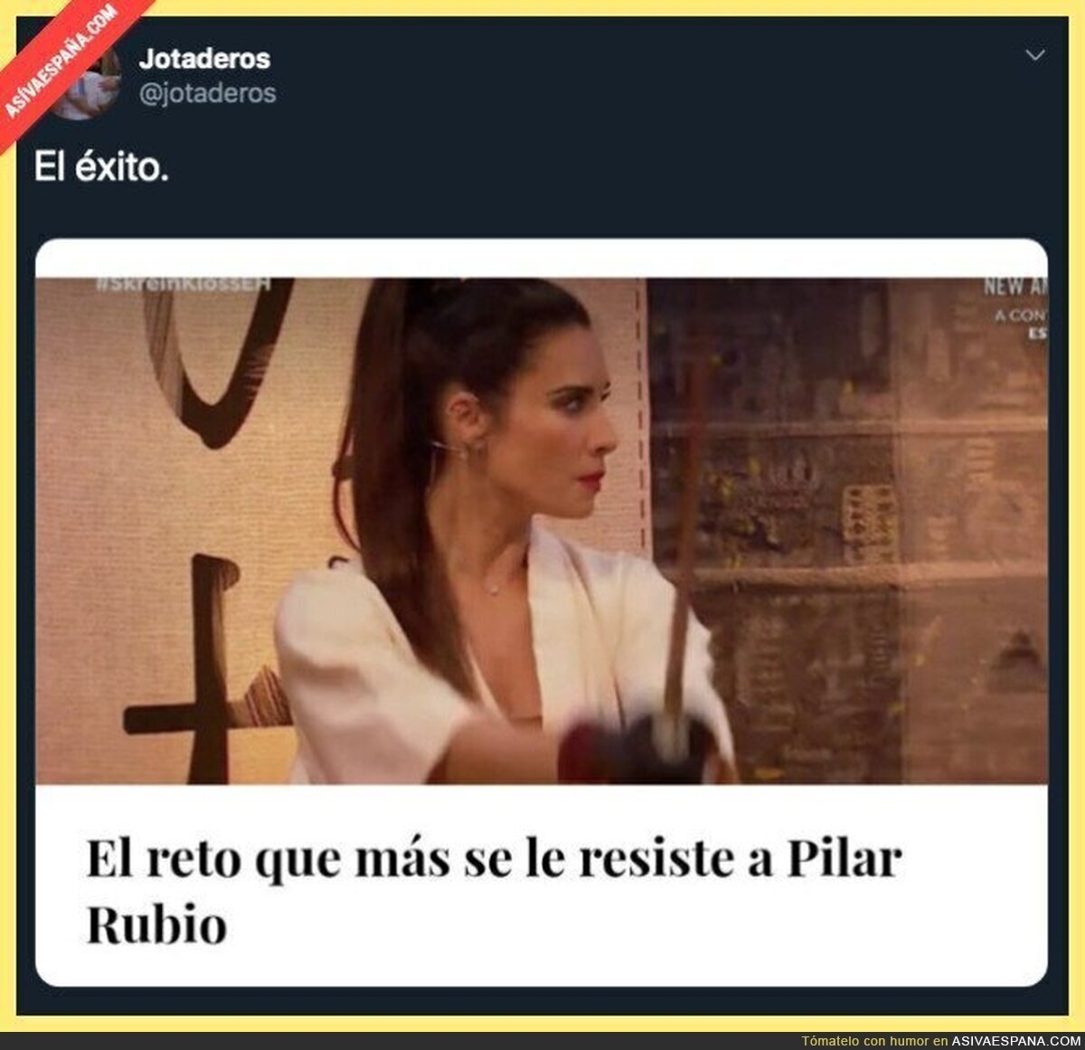 Lo que persigue Pilar Rubio