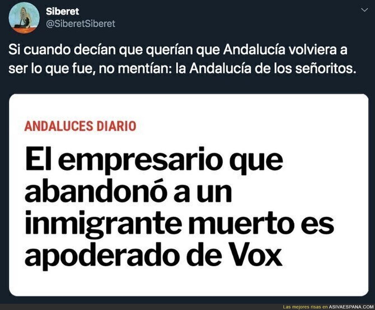 La Andalucía que quiere VOX
