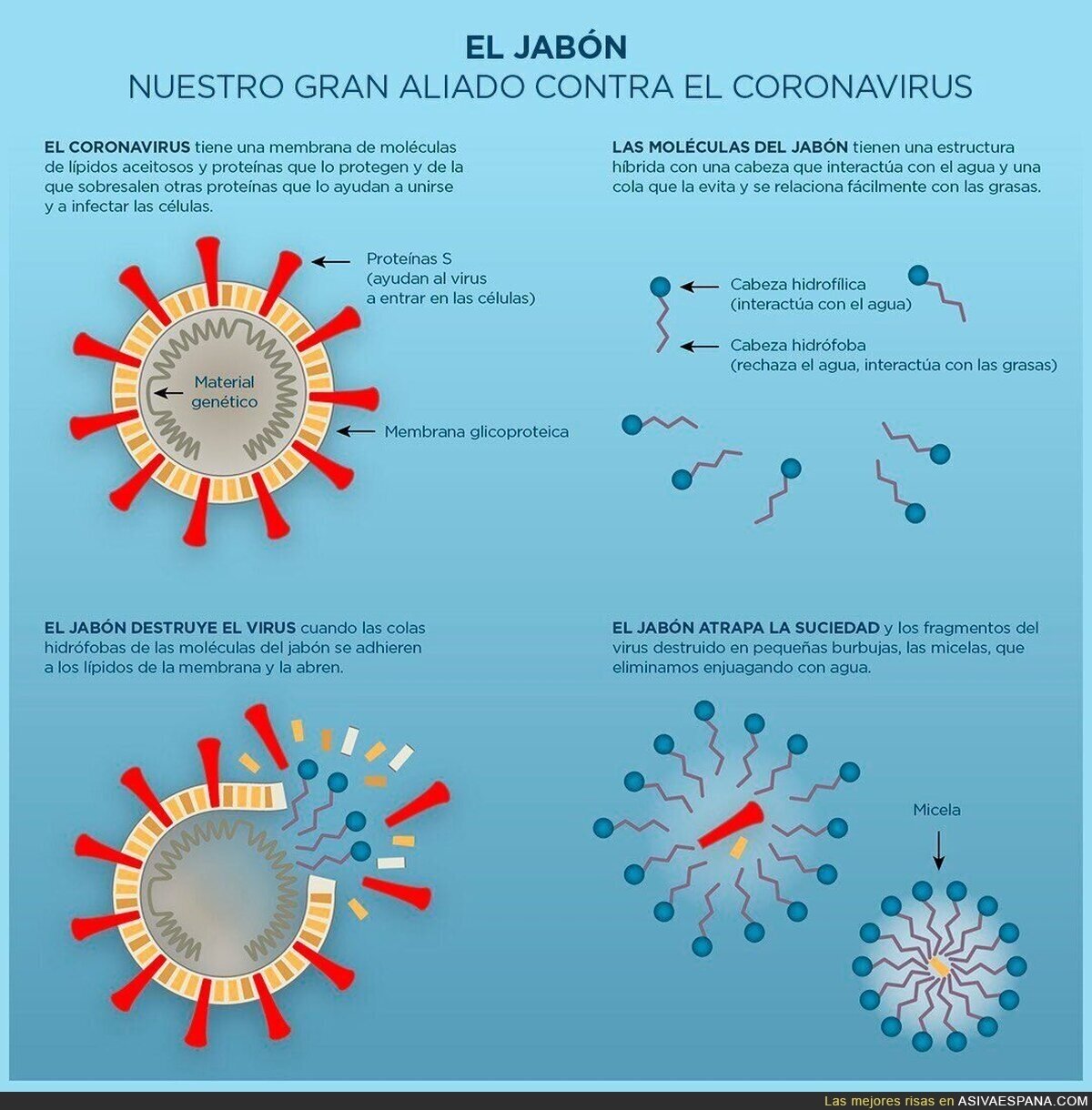 El gran aliado del coronavirus
