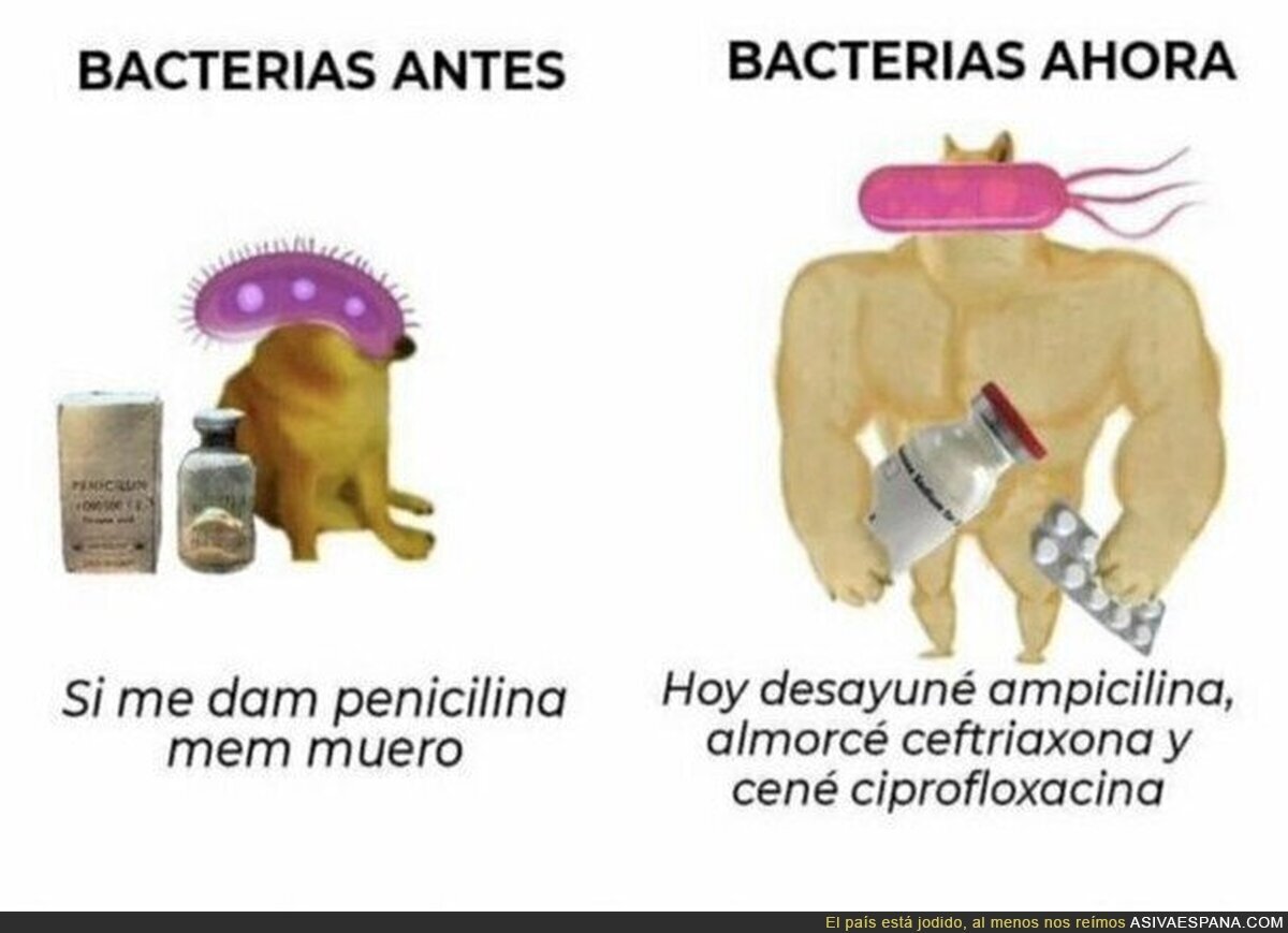 Las bacterias han cambiado mucho