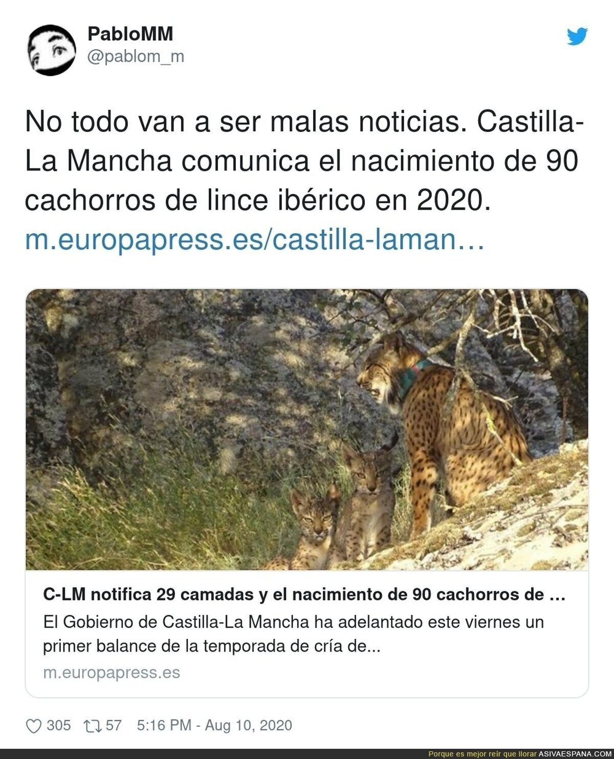 Al final lo mejor para el lince es que los humanos estén encerrados