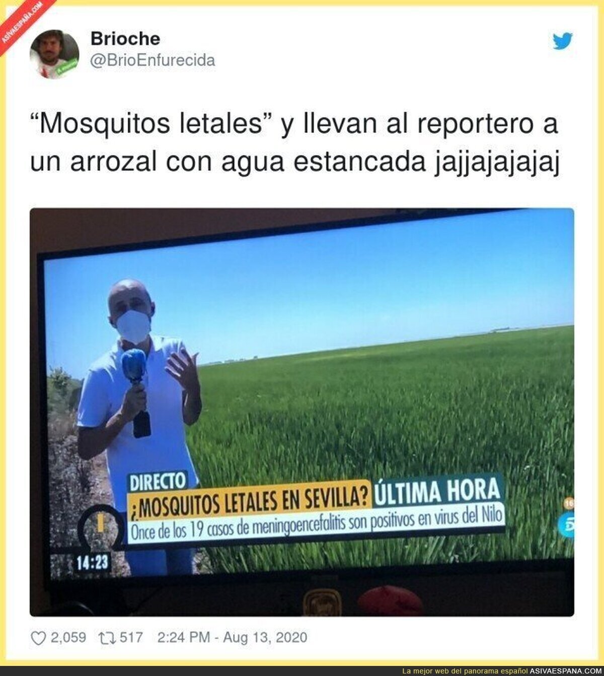 En Telecinco mandan a morir a sus reporteros