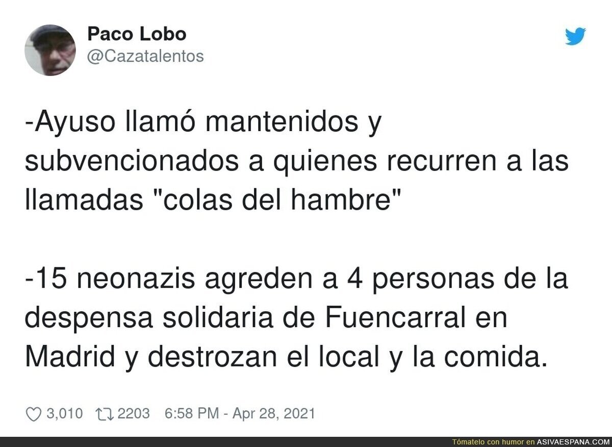 Los cachorros pasan a la acción