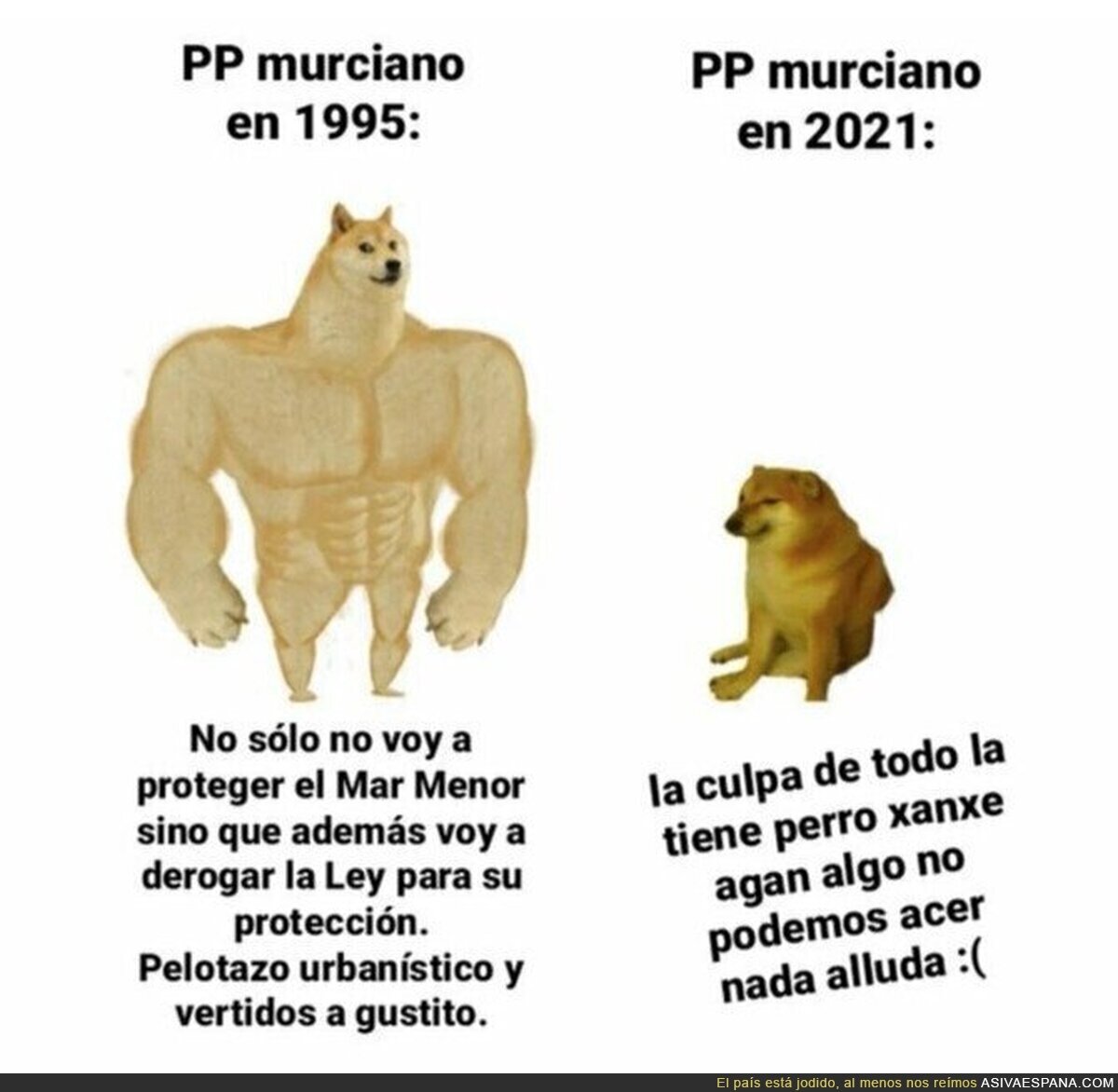 El PP en Murcia siempre tiene un culpable