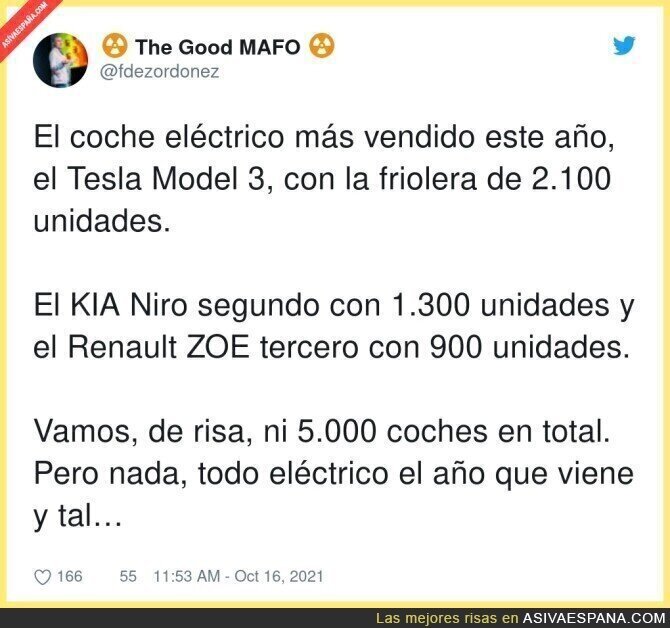 El éxito de los coches eléctricos bajo sospecha