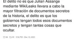 La gravedad del caso Julian Assange