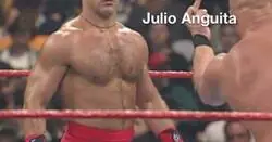 Julio Anguita tiene algo que decir a VOX