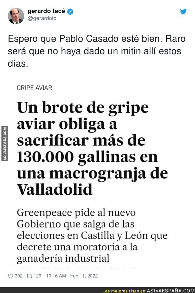 Caos en esta macrogranja de Valladolid