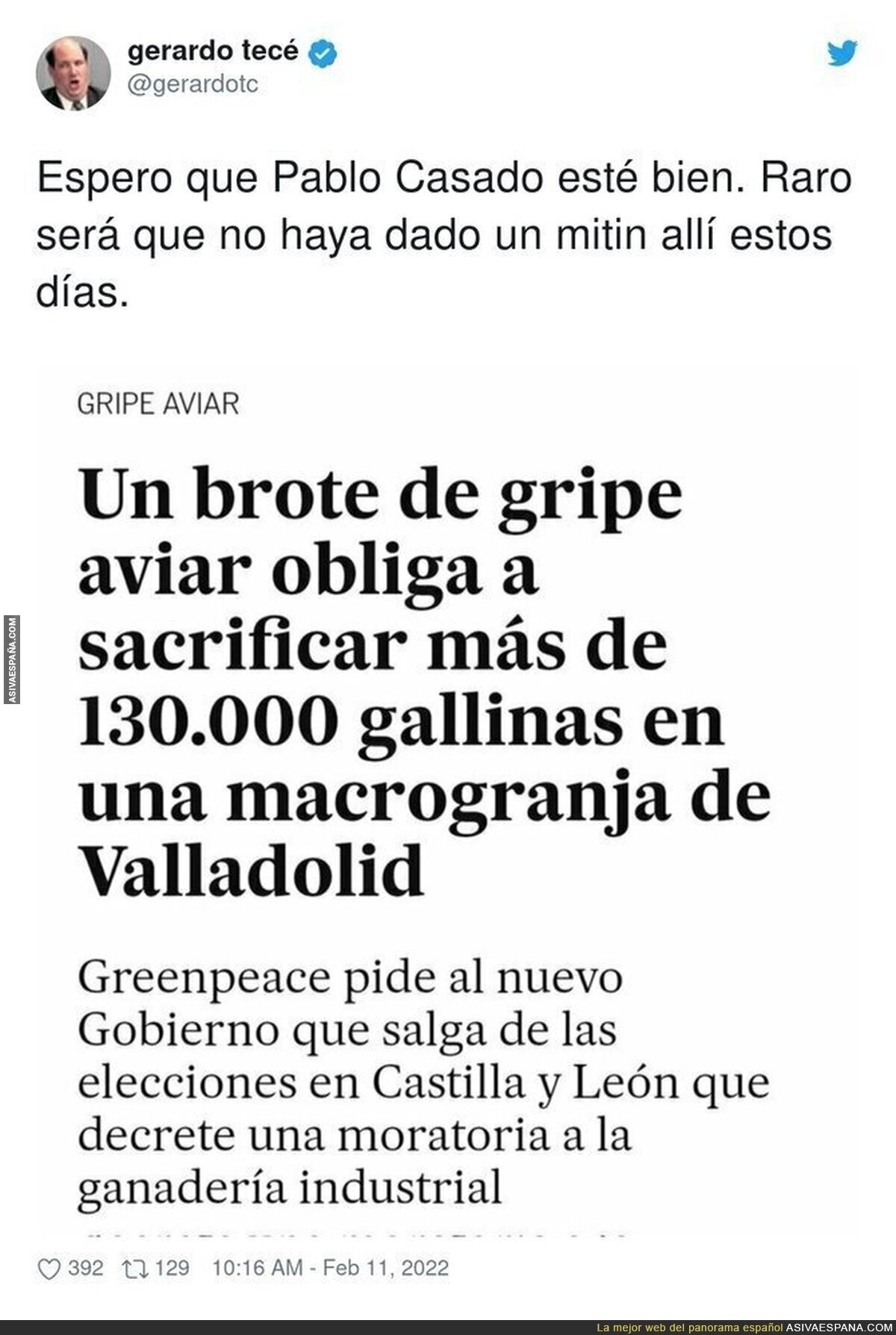 Caos en esta macrogranja de Valladolid