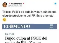 La culpa del pacto VOX y PP para el PSOE