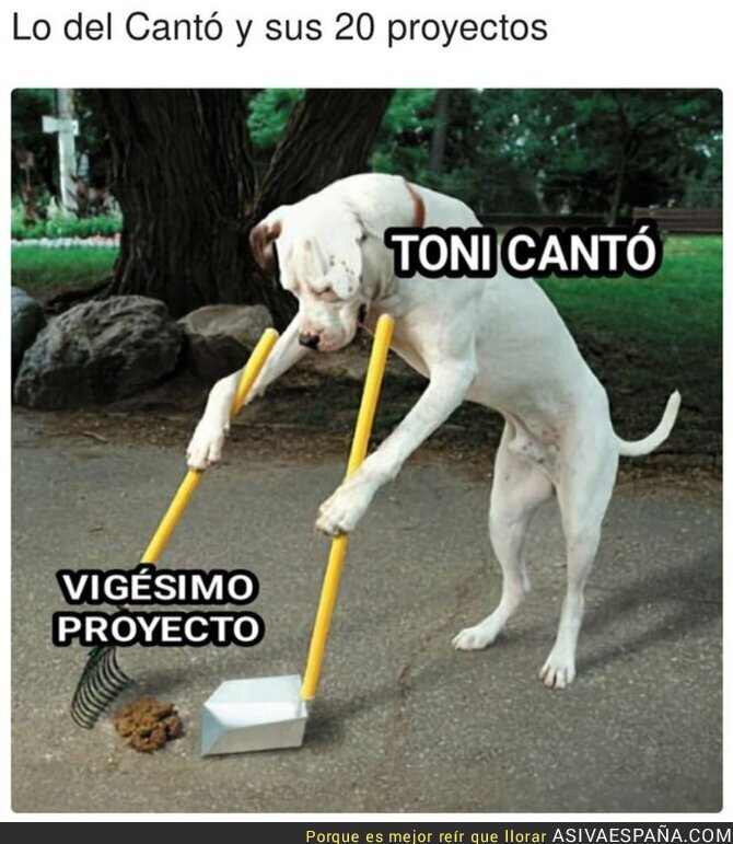 Toni Cantó no puede parar