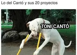 Toni Cantó no puede parar