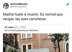 Anomalías que pasan en Madrid
