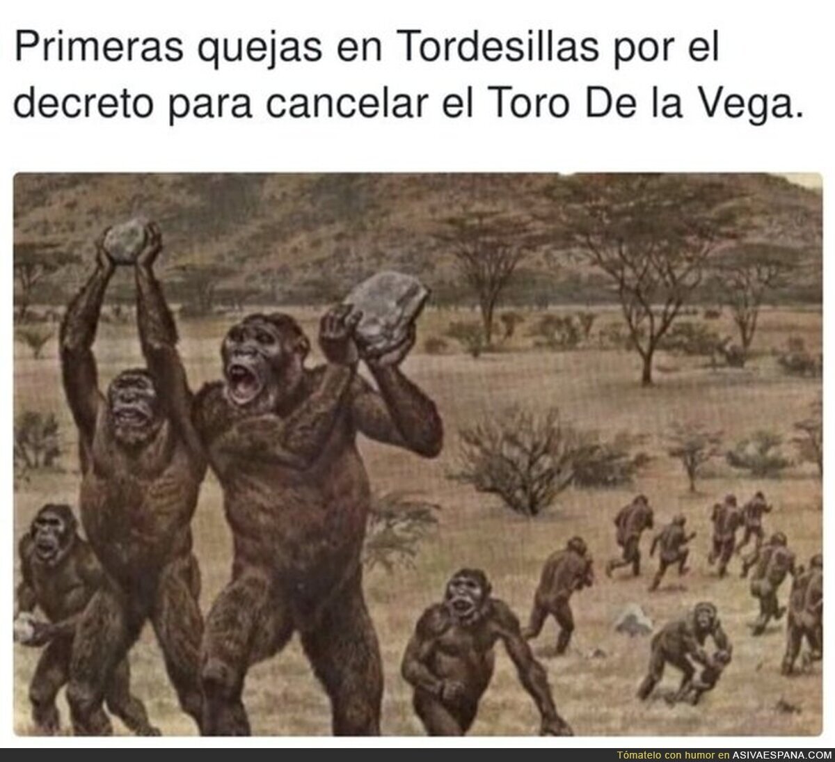 Comparar a los que apoyan el #torodelavega con los de la foto me parece un insulto a nuestros antepasados homínidos, por @TirodeGraciah
