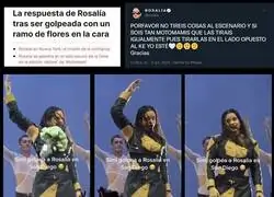 Una auténtica MotoMami nunca le arroja un ramo de flores a la cara a Rosalía en concierto