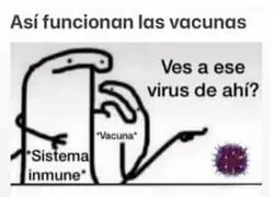 Explicación de las vacunas