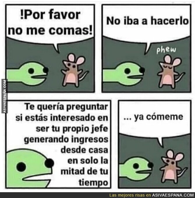 No quiero sufrir más