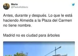 Crimen urbanístico en Madrid