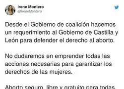 Irene Montero reacciona ante las barbaridades de VOX en Castilla y León