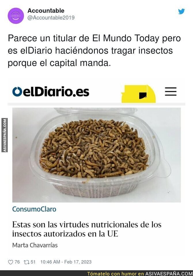 Quieren normalizar que comamos insectos
