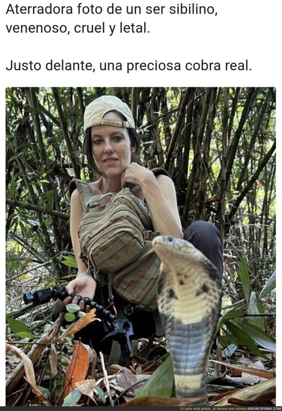 Hay que tener cuidado con esos bichos