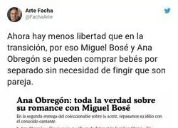 La libertad de la que gozan Ana Obregón y Miguel Bosé