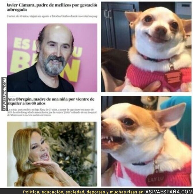 Así es la izquierda
