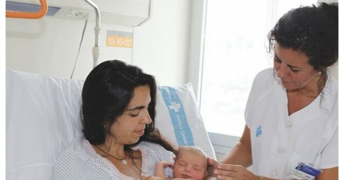 Así Funciona La Gestación Subrogada