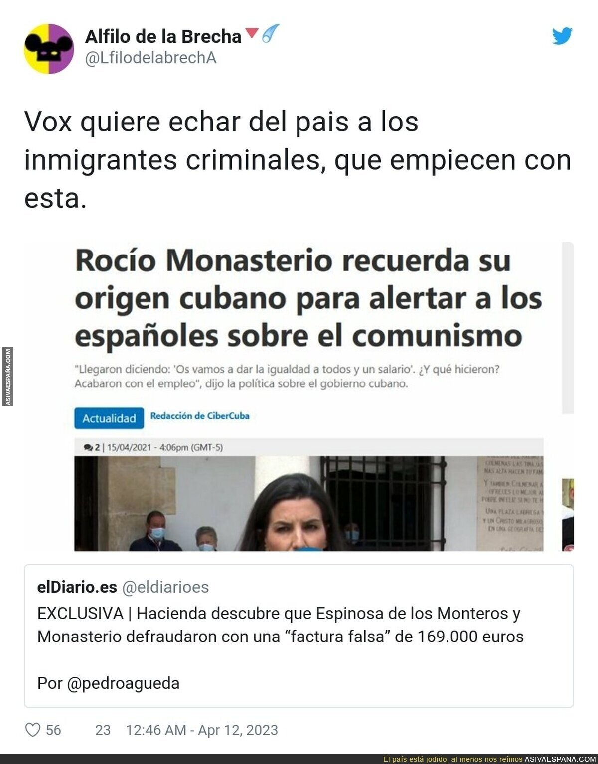 El peligro de VOX