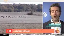 Borja Sémper, sobre Doñana: "No soy un experto, leí la propuesta en diagonal".