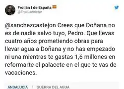 Las promesas de Pedro Sánchez sobre Doñana