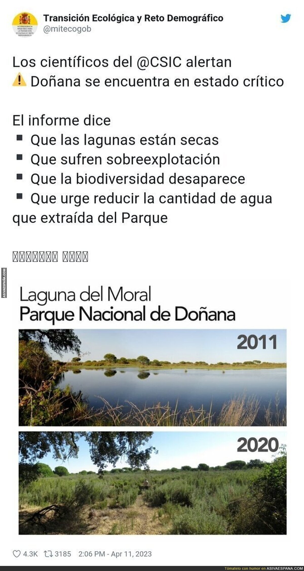 Estamos perdiendo Doñana