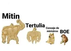 La evoluci&oacute;n, por @DenisDeOrihuela