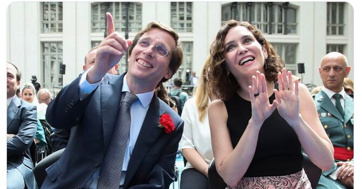 Las plantas en el balcón es