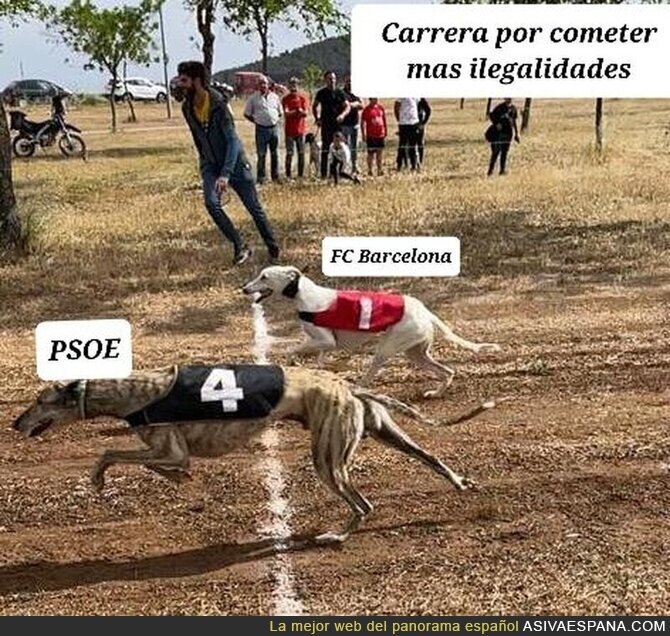 La cosa está reñida, por @alfariffo