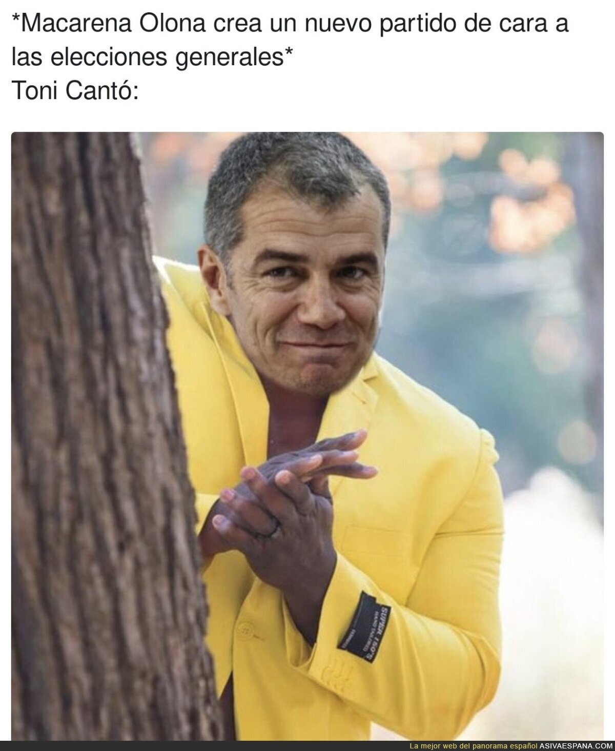 ¿Nuevo destino para Toni Cantó?