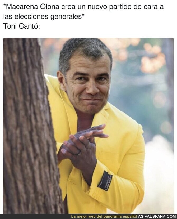 ¿Nuevo destino para Toni Cantó?