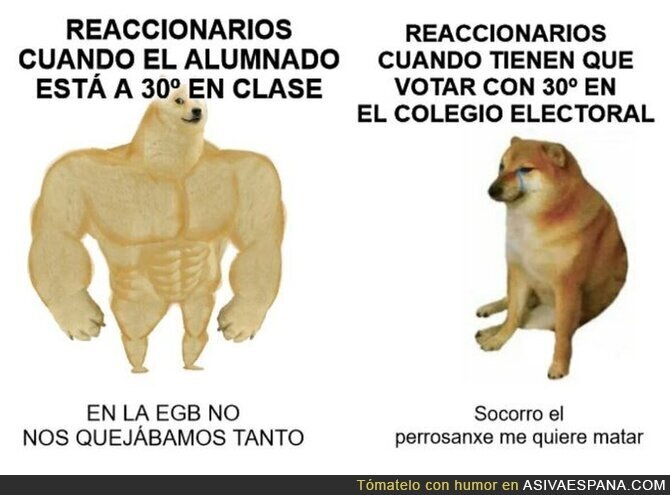 Un resumen breve