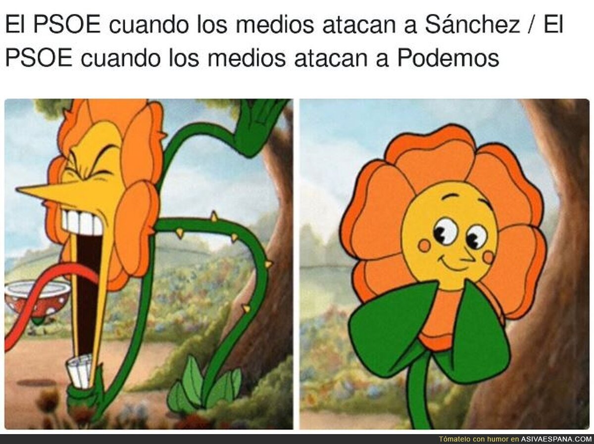 Las dos caras del PSOE