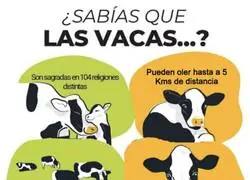 La tuberculosis bovina está en boca de todos en Castilla y León